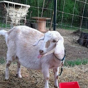 Meet your Posher, Sandra